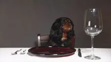 Do Not Give Your Dog These Foods During the Holidays
