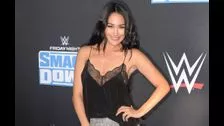 Brie Bella has to “schedule” sex with her husband