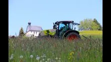 Farmers make the first "cut" - 32,000sqm field must be mowed