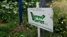 University campus becomes allotment garden: 