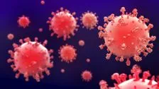 Monkeypox: RKI warns of new virus - is a new pandemic looming?