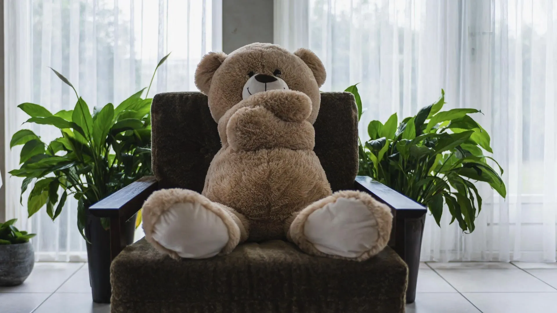 Einfallsreicher Autodieb versteckt sich in Riesen-Teddybär