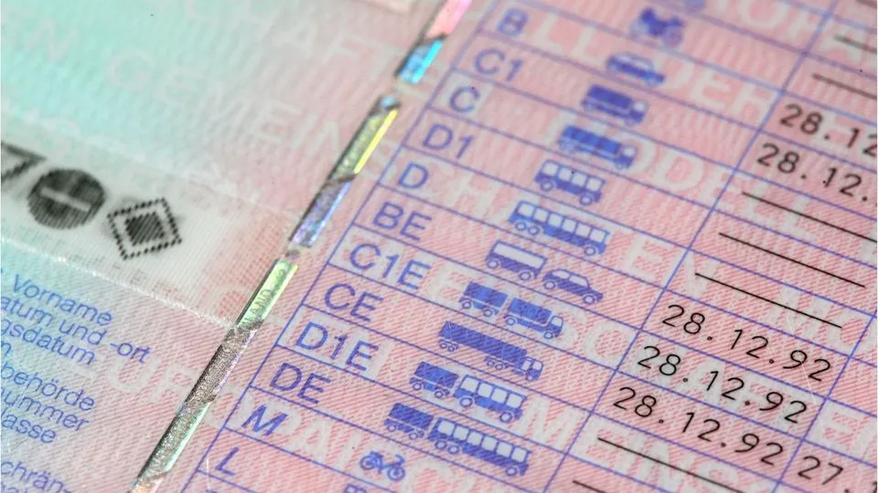 The numbers in column 12 of the driver's license
