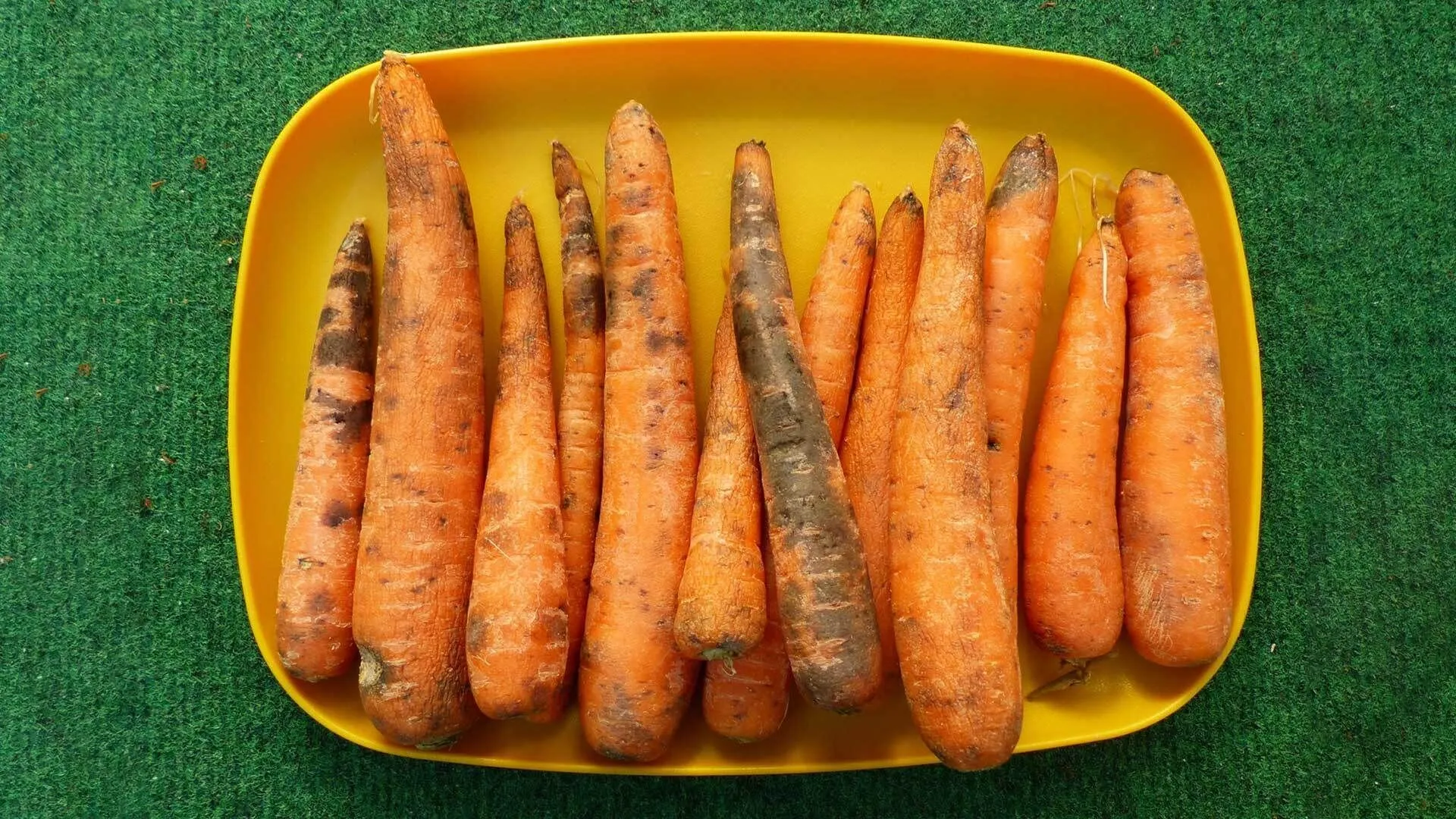 Verwerten oder wegwerfen: Darf man schimmelige Karotten noch essen?
