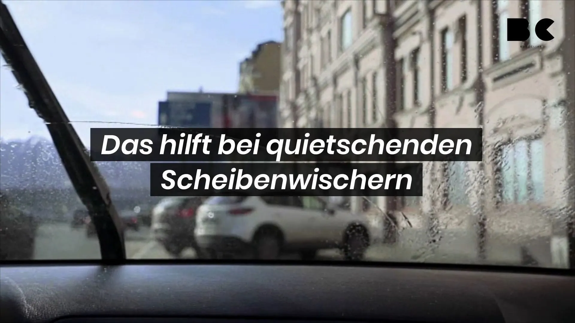 Squealing windshield wipers: What you can do!