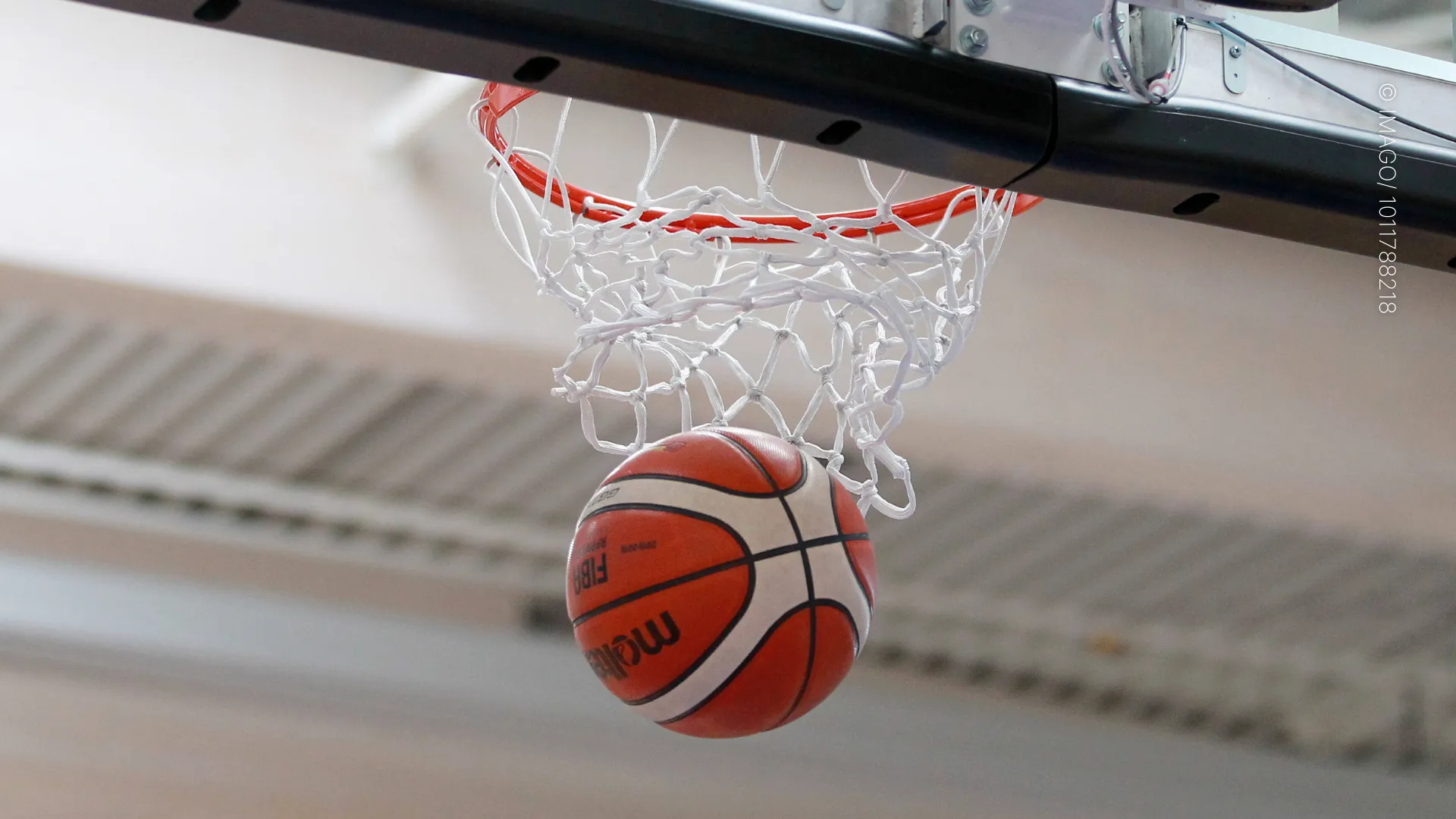 Die Evolution des Basketballs: Vom Ursprung bis zur globalen Sensation