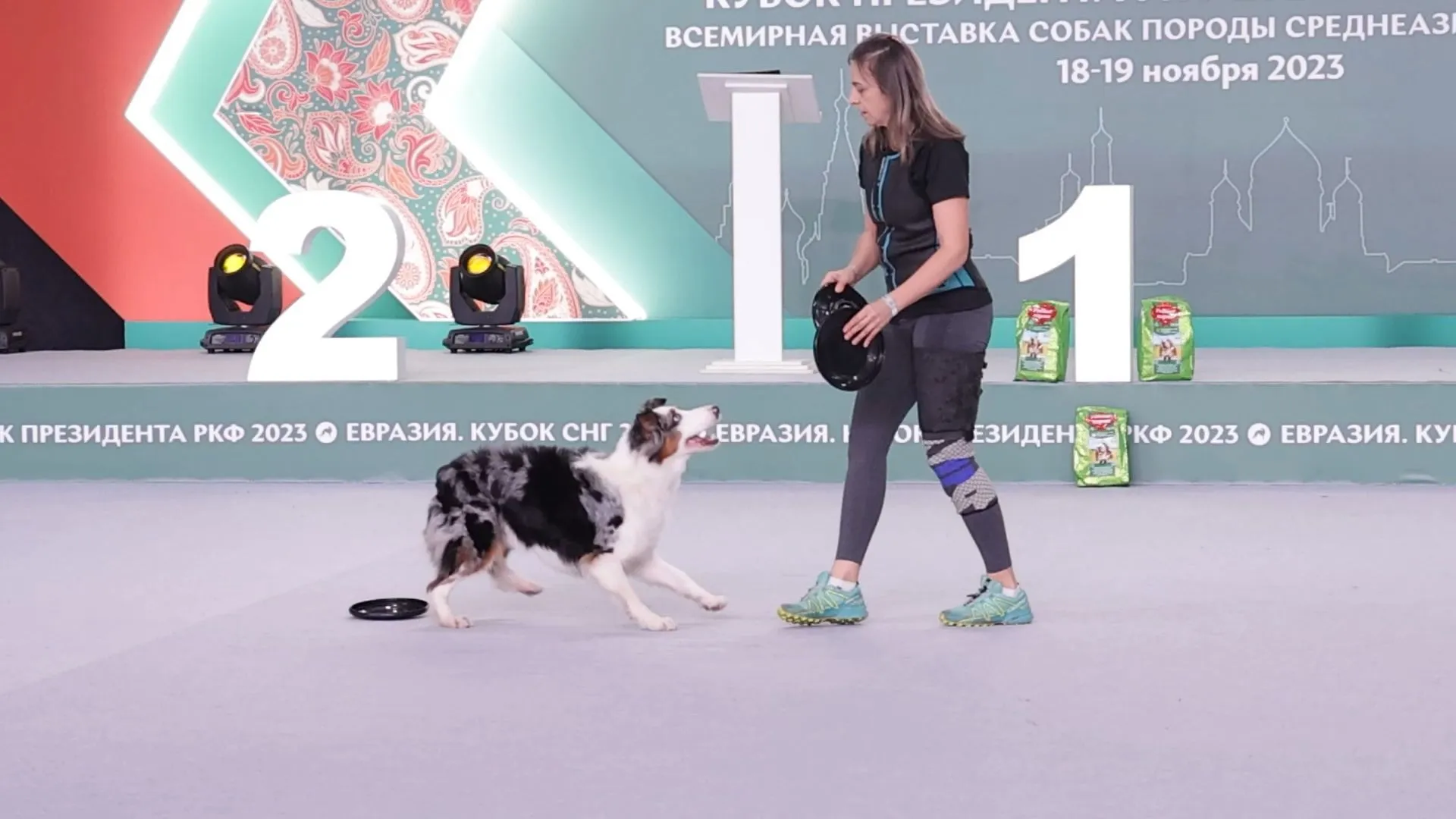 Une performance de haut niveau à quatre pattes : L'Eurasia Dog Show 2023 à Krasnogorsk