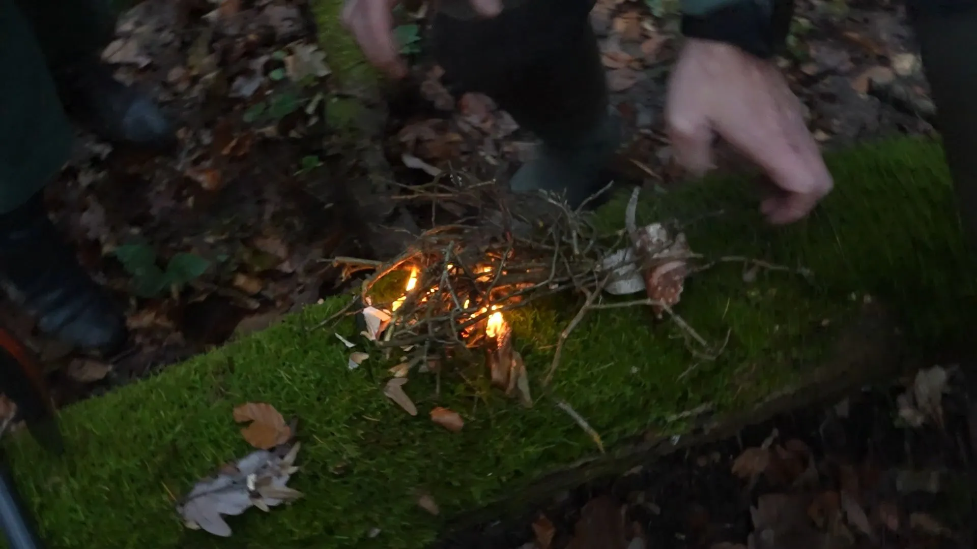 Hardcore Survival mit Videospiel Anleitung!