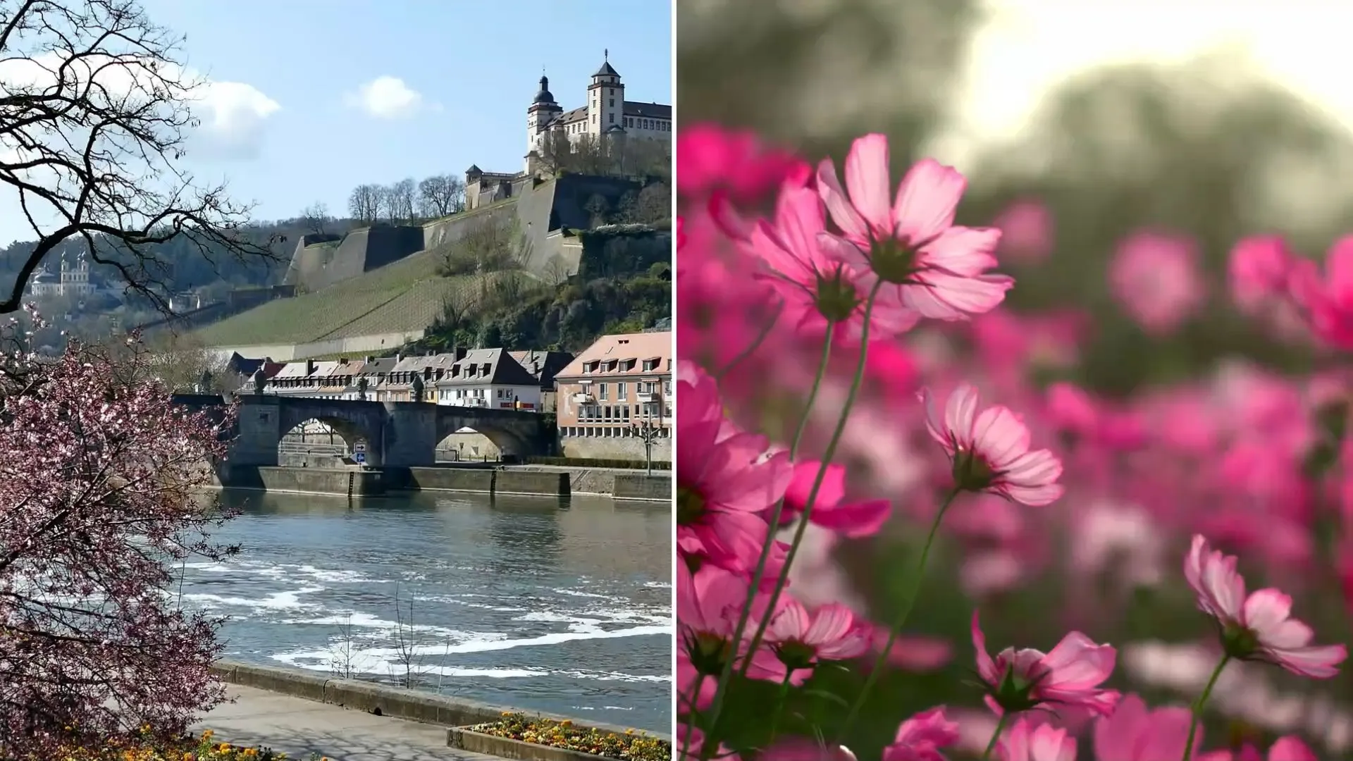 Festivals and celebrations in Franconia: These events await you in spring 2024