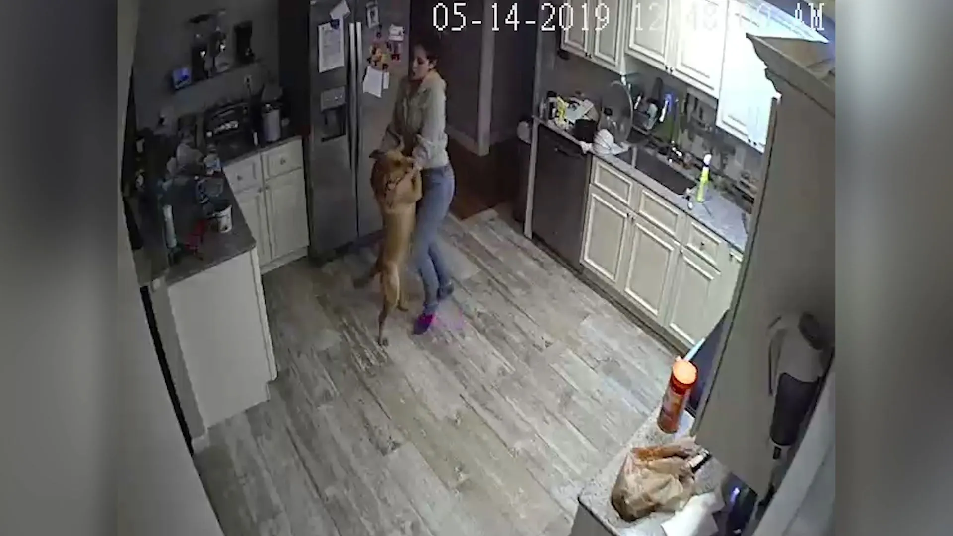 Una mujer baila con un perro y activa una alarma antirrobo