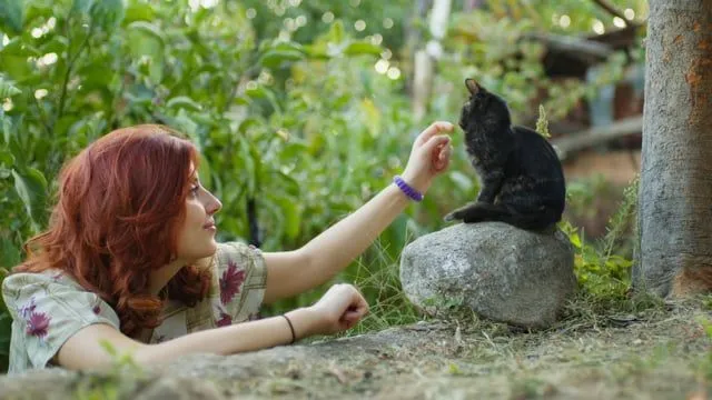 Tierphobie: Die Angst überwinden