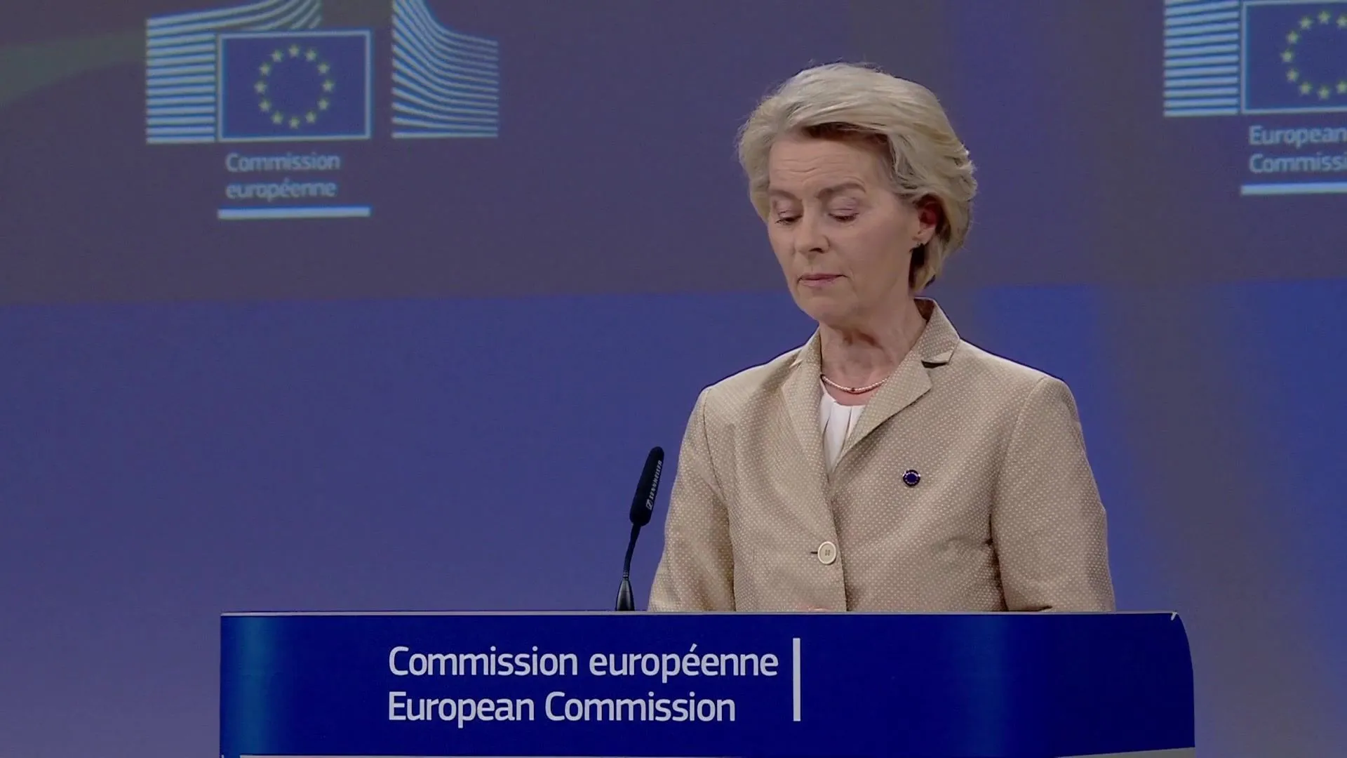 EU chief urges 'common European solution' on migration as Merz visits