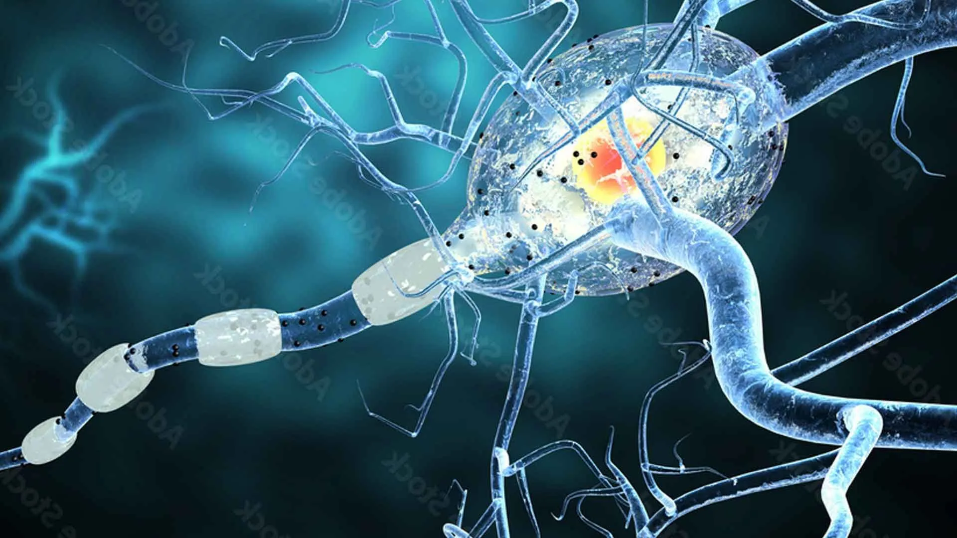 Early Signs of Multiple Sclerosis: How to Recognize Them