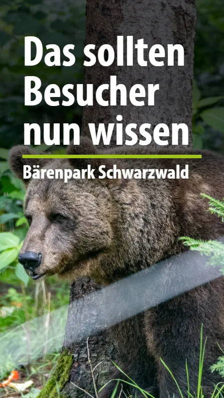 Besucherregeln im Bärenpark Schwarzwald