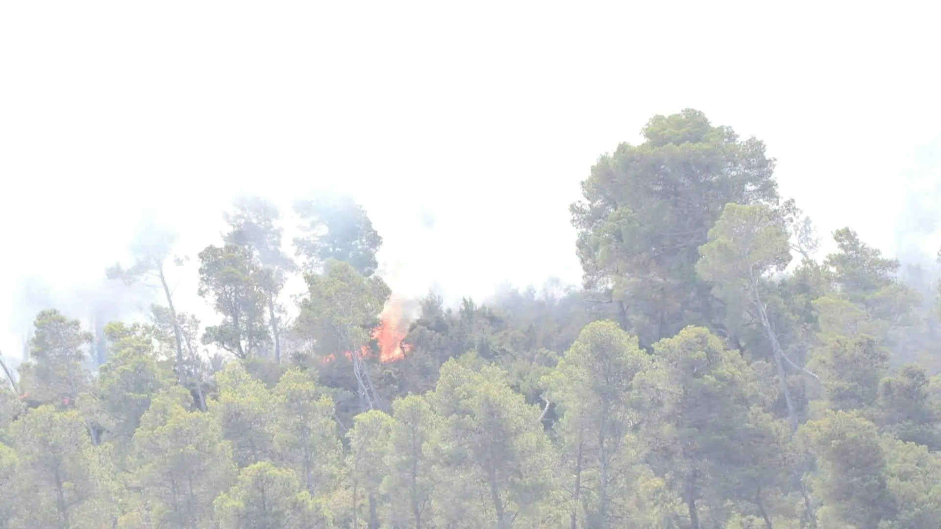 Wildfire in zuidelijk Frankrijk: Brandweerlieden vechten om brand te beheersen als het de derde dag ingaat