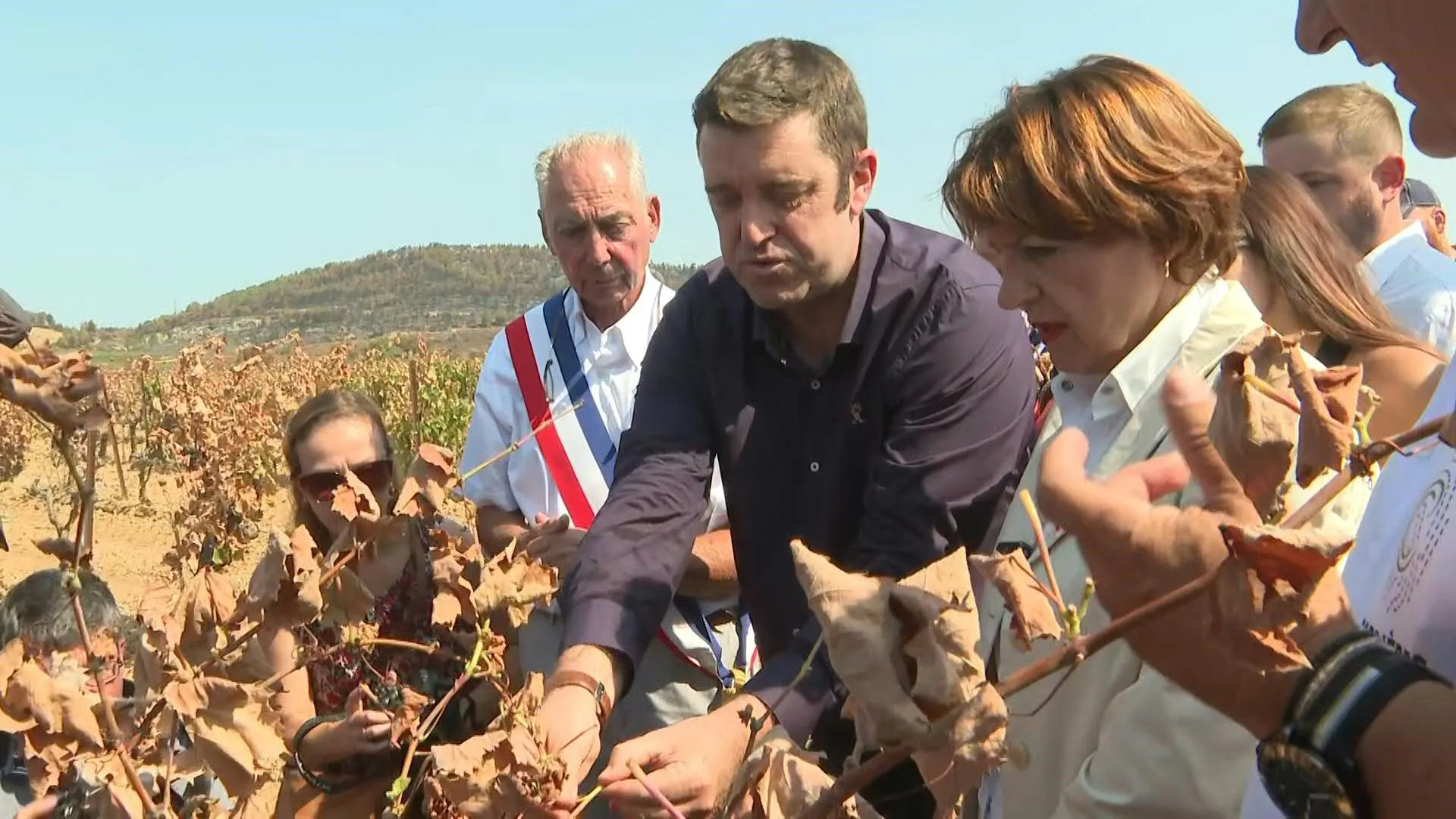 Ministra da Agricultura da França visita viticultores após incêndios na região de Aude