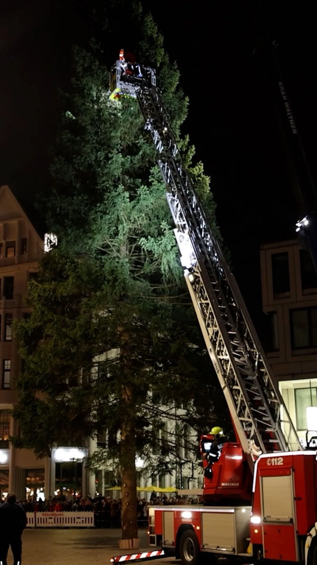 Hunderte Chemnitzer begrüßen Weihnachtsbaum