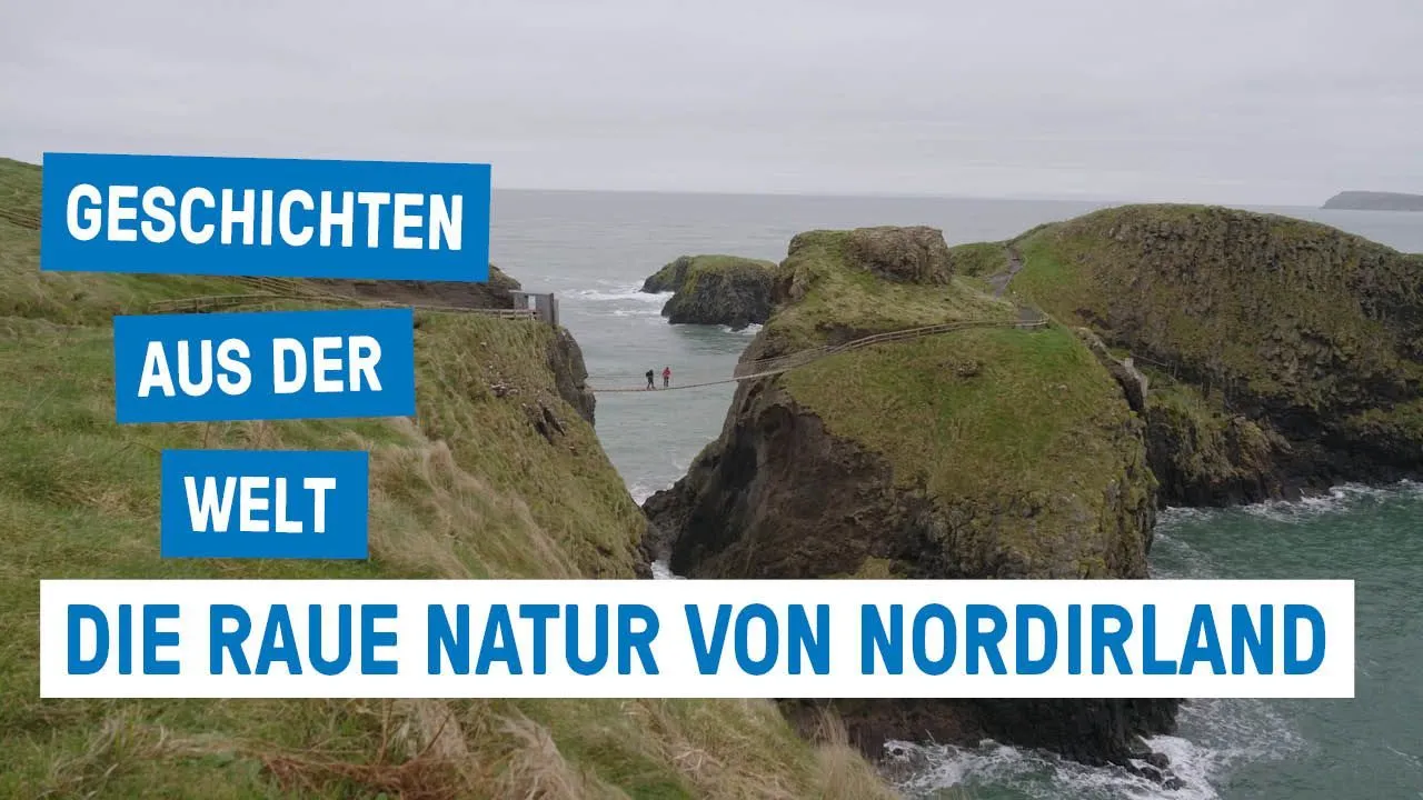 Klimmende schapen, hangbruggen en schuin broedende meeuwen in Noord-Ierland! - Verhalen uit de wereld