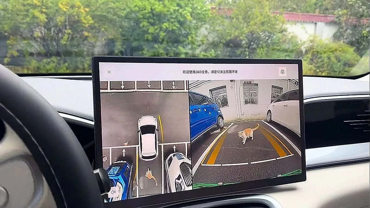 Cat makes a frantic escape between tight parking spaces