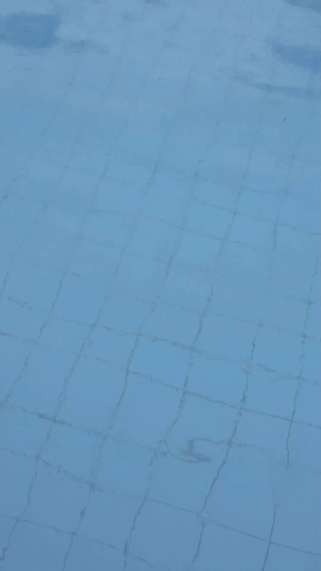 Schwimmen: Warum sollte man keine blaue Badekleidung tragen?