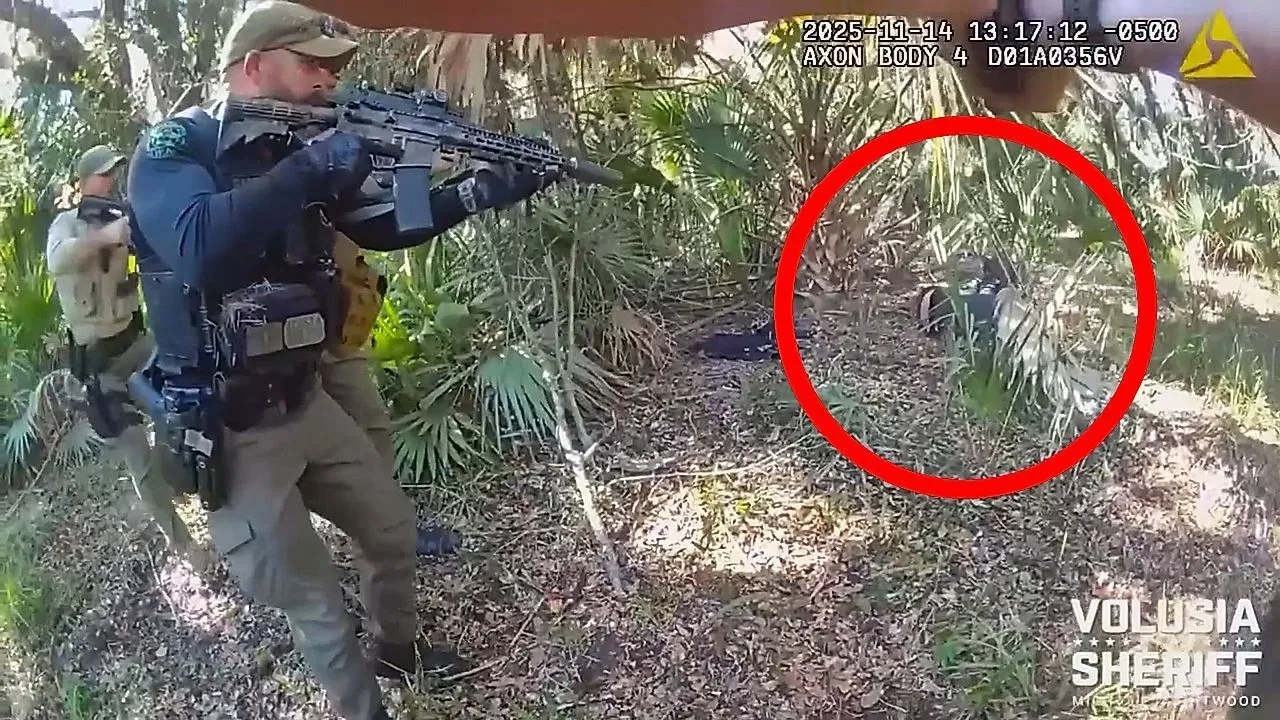 Los diputados de Florida arrestan a un ladrón de camiones después de que pasara dos días escondido en el pantano