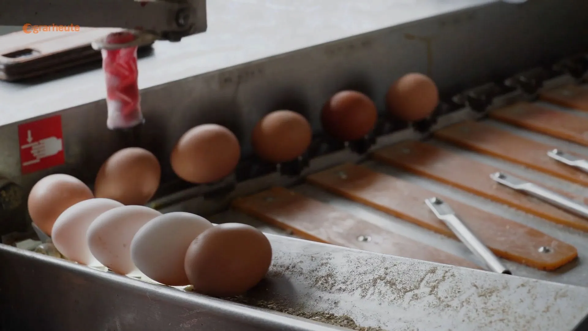 Eggs from cage farming marketed as organic eggs - how can this be?