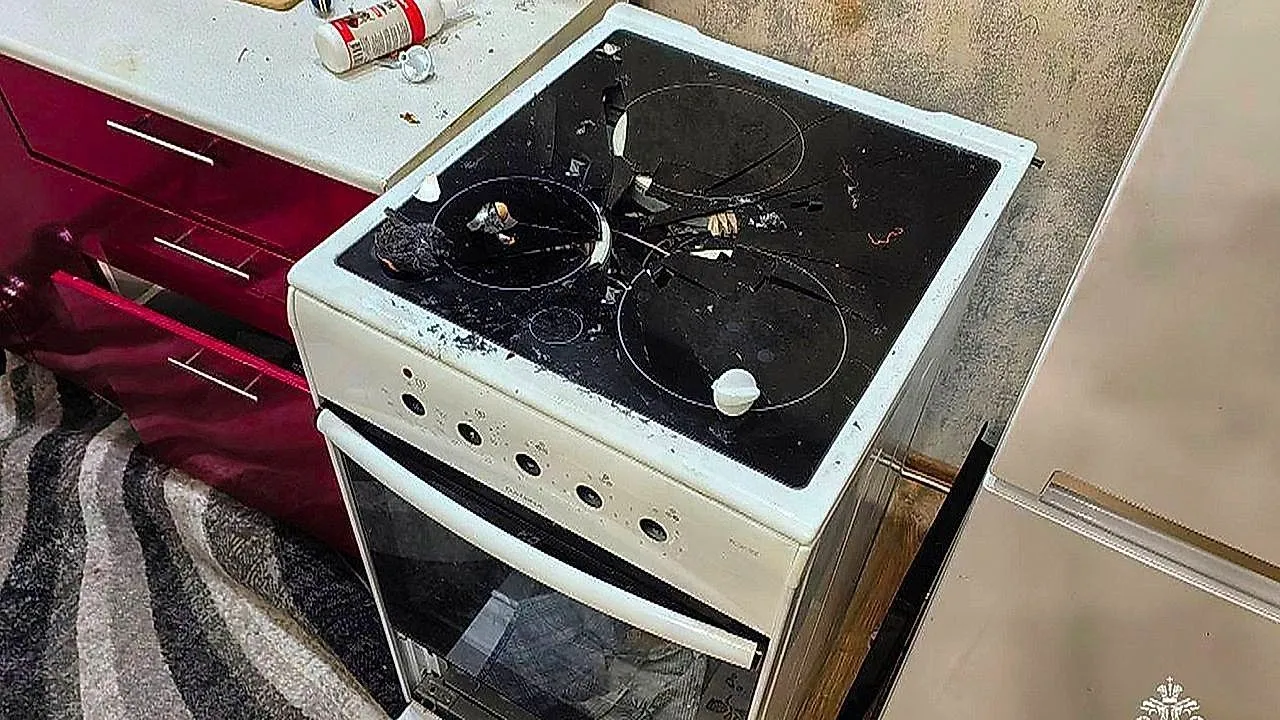 Dog's accidental stove mishap triggers dramatic apartment blast