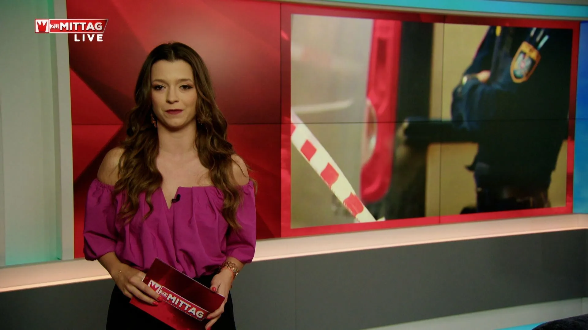 Fall Danylo, Gewalt im Alltag und Notruf in Wien