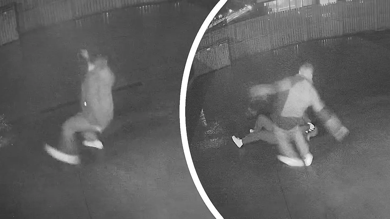 Momento divertente in cui la coppia scivola e cade sulla STESSA lastra di ghiaccio