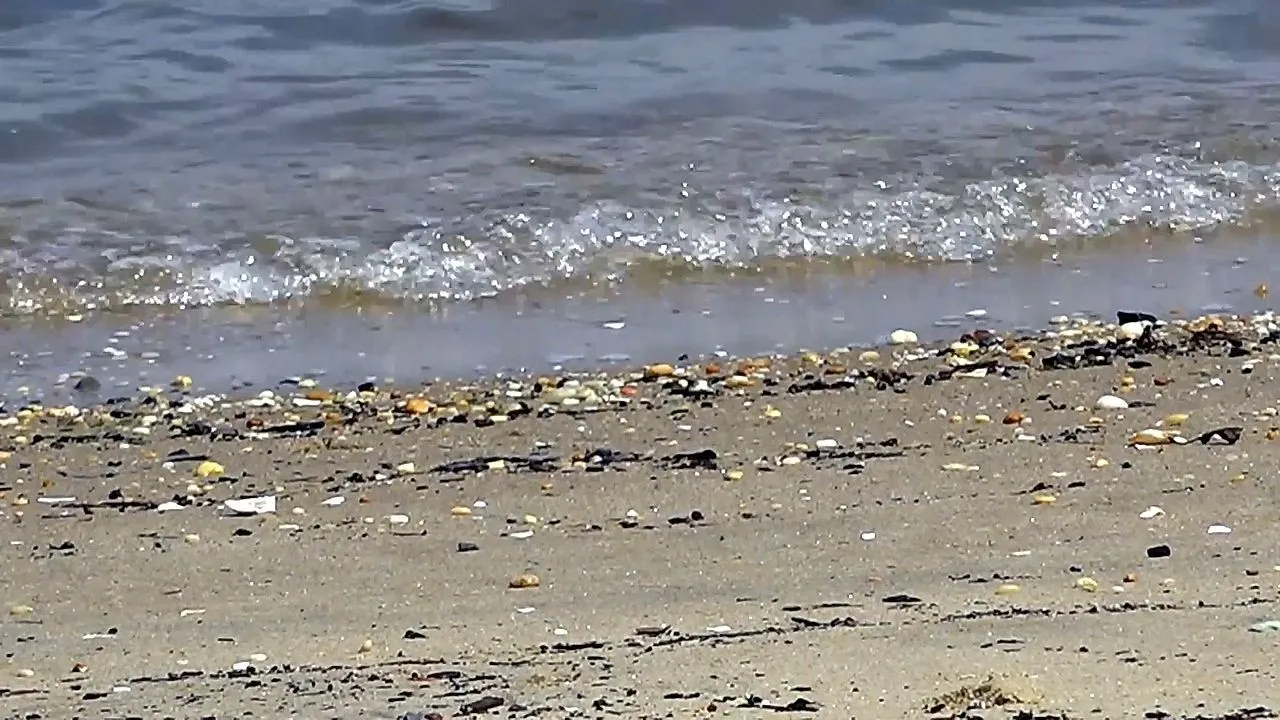 Tres playas de Nueva Jersey cerradas debido a altos niveles de bacterias fecales en el agua