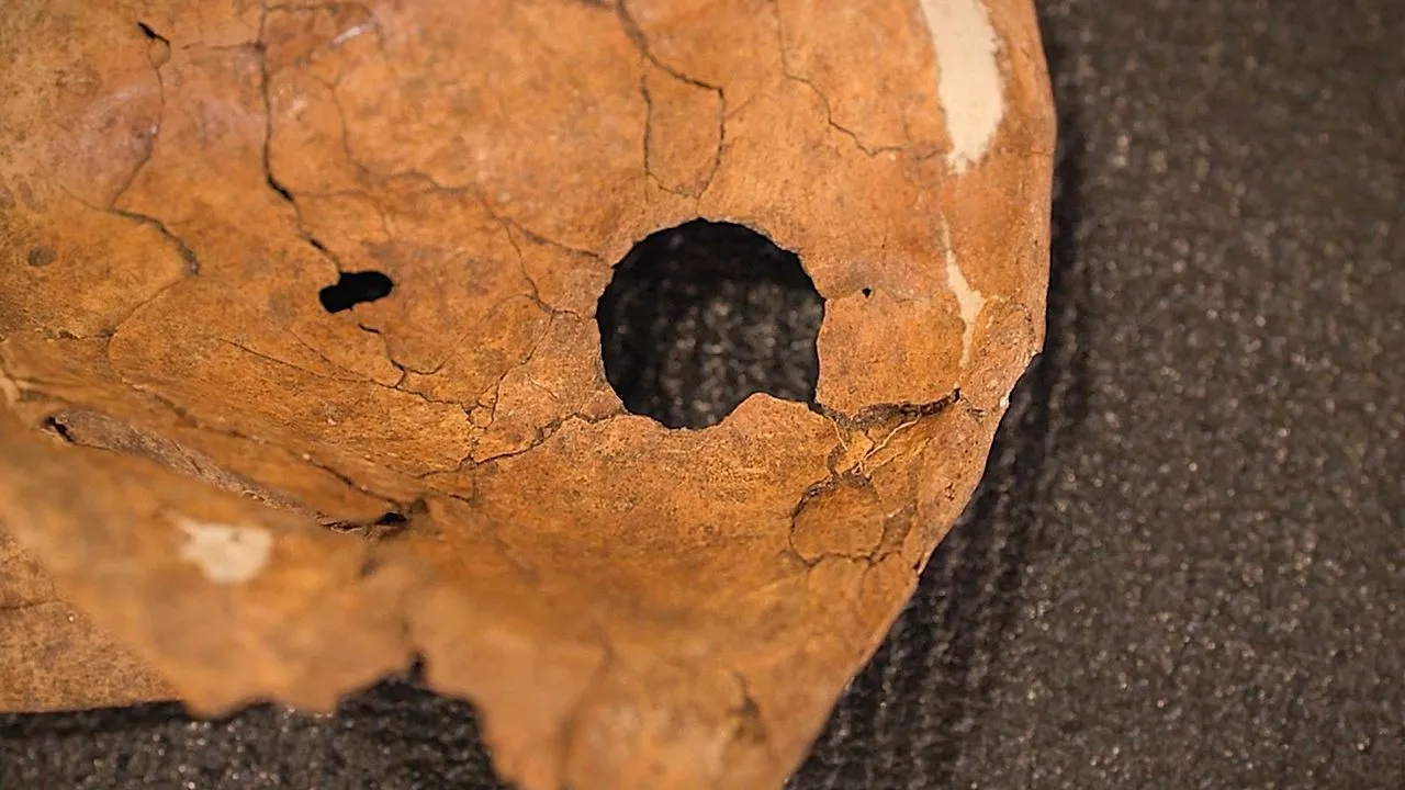 Il caso freddo di 75.000 anni: Gli scienziati trovano un buco di lancia in un osso di Neanderthal