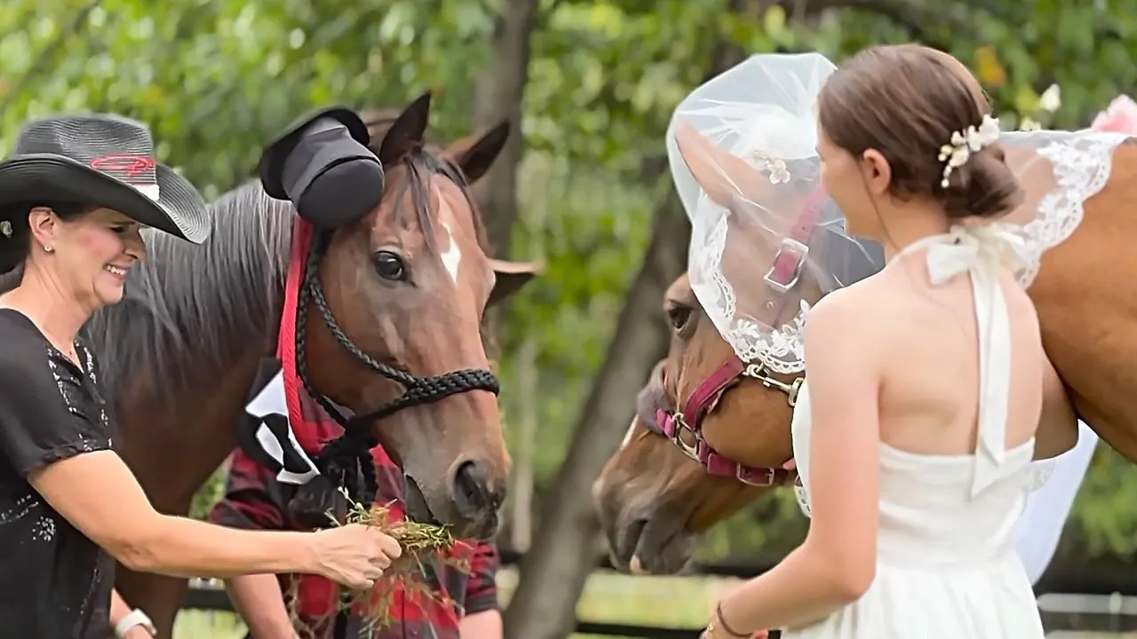 Ex cavallo da corsa e giumenta si sposano in una cerimonia di nozze in una fattoria della Georgia