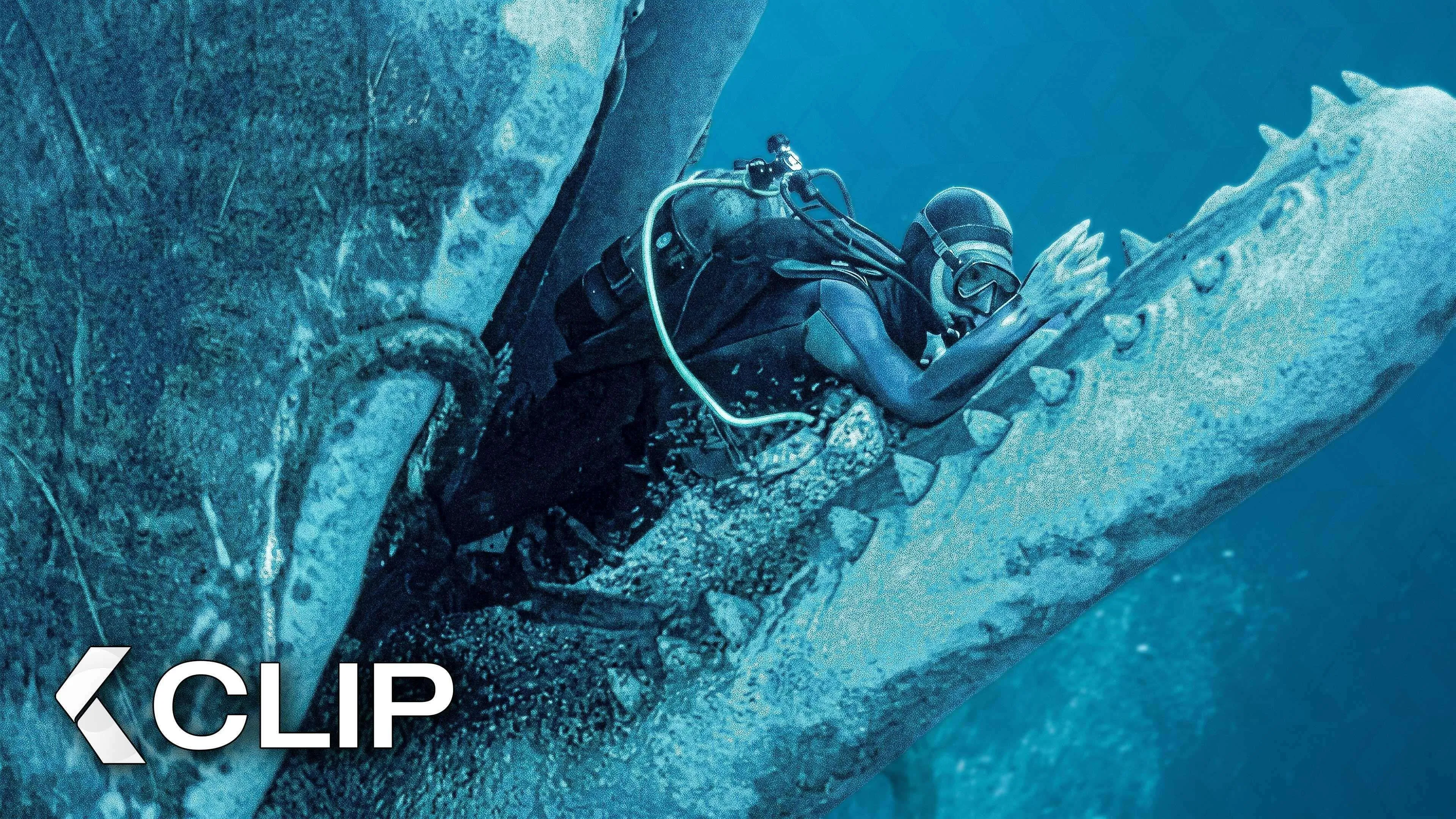 Scena della Balena Inghiottita - WHALEFALL (2026)
