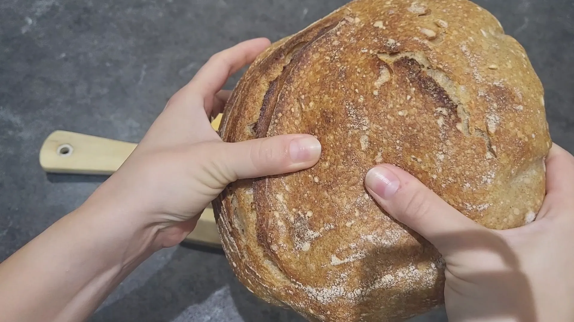 Vom Sauerteigstarter bis zum fertigen Brot: So läuft der Backprozess