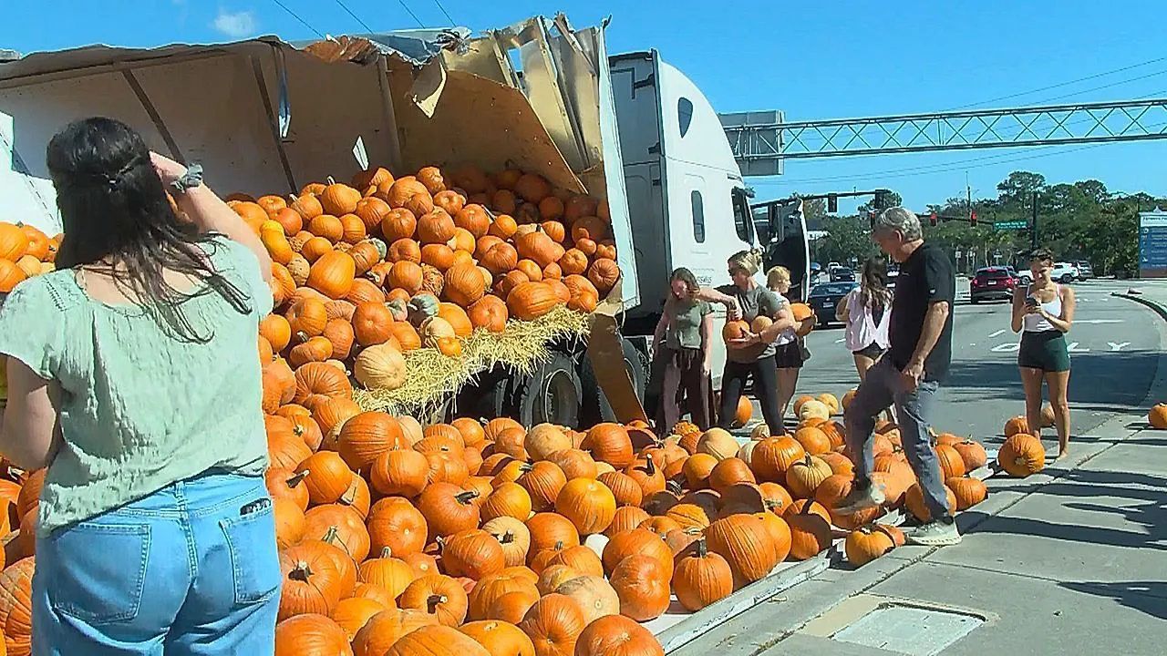 18-wheeler's trailer split open by tree limb, spills pumpkins all over South Carolina road