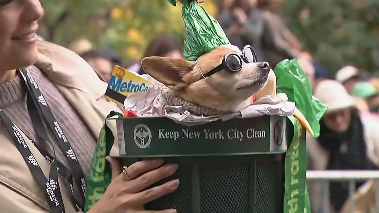 Annual Halloween dog parade kicks off in New York City