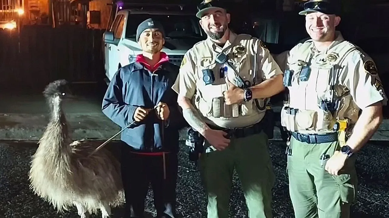 Deputies chase runaway emu through California neighborhood