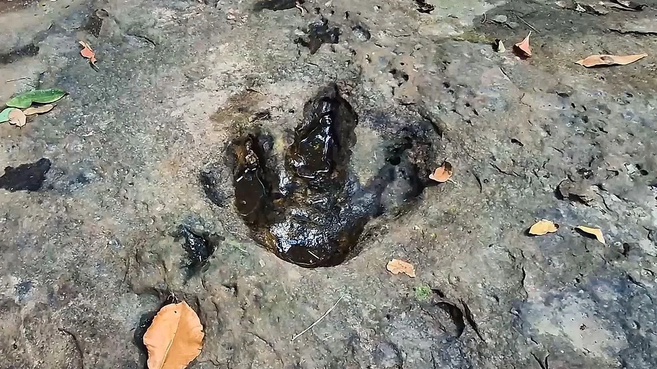 Achado sortudo em passeio em família: Pai descobre pegadas de dinossauros na Tailândia