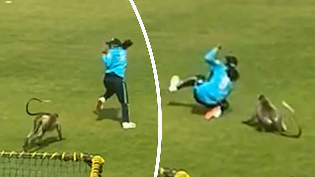 Monkey storms cricket field and sends young player tumbling in India