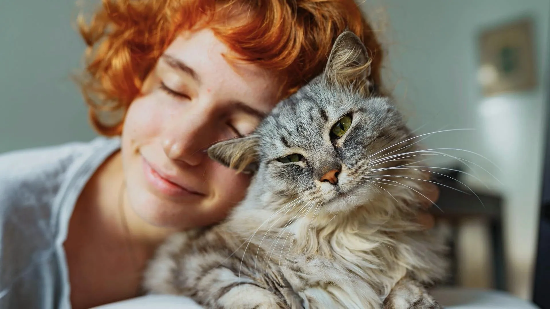 Entschuldigt Sich Deine Katze? 5 Anzeichen Für Eine Entschuldigung Unter Katzen