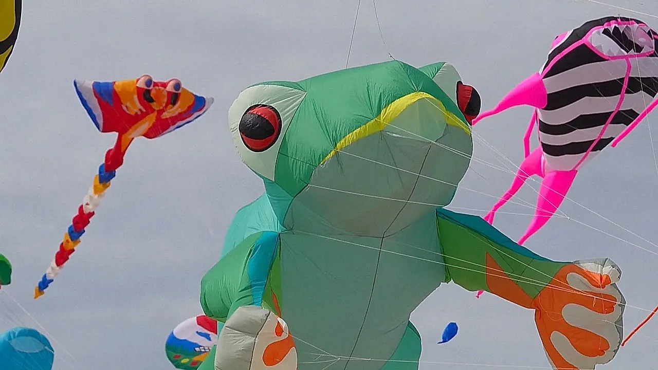 Cape Town International Kite Festival in South Africa tackles mental health