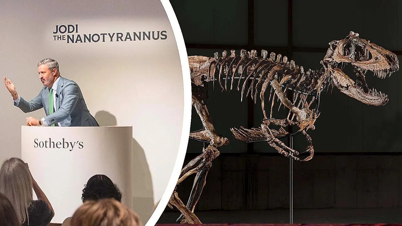 Rare Nanotyrannus dinosaur 