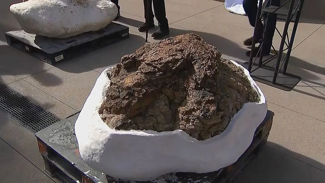 Colorado high school science teacher makes first-ever discovery of T-rex trackway